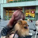 松本 桜のプロフィール画像