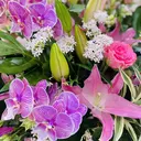 多田 智子のプロフィール画像