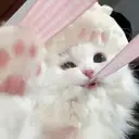 iLa / Amina🌙♡のプロフィール画像