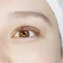 木村 梨華のプロフィール画像