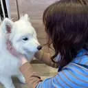 ユクタ マナのプロフィール画像