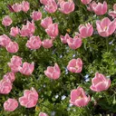 鈴木 さやのプロフィール画像