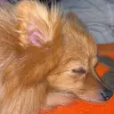 桐 菜々子のプロフィール画像