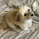 Raviy meiのプロフィール画像