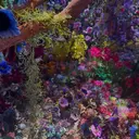 ❤︎韓国レイヤー❤︎ アカリのプロフィール画像