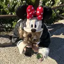 airi 🤍のプロフィール画像