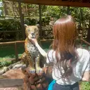 山村 泉織のプロフィール画像