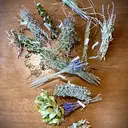 環りて 真理子のプロフィール画像