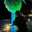 BLESS seiyuのプロフィール画像