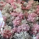 み ゆのプロフィール画像