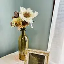 Frele Komiのプロフィール画像