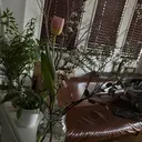 B☆STAR 小島のプロフィール画像