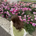 m oeのプロフィール画像