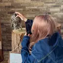 CHICK大森 おーちゃん🌟のプロフィール画像