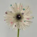 Suzuki Sakiのプロフィール画像