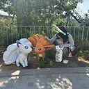 konomi ⟡.*のプロフィール画像