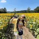 plaatje ひかるのプロフィール画像
