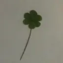 古橋 由妃のプロフィール画像