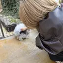 末光 咲花のプロフィール画像