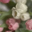 栗原 ひかるのプロフィール画像