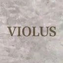 VIOLUS 関目のプロフィール画像