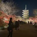 🎨ハイトーン/ウル フ/ショート/大夢のプロフィール画像