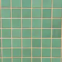 saku _ceriseのプロフィール画像