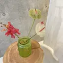 中目黒Enny/ hikariのプロフィール画像