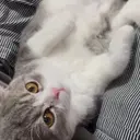 川崎 恭平のプロフィール画像