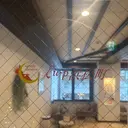 佐藤 玲奈のプロフィール画像