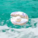 🐚 すなのプロフィール画像