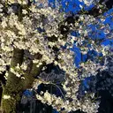 徳原 菜乃のプロフィール画像