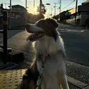 藤原 梨紗のプロフィール画像