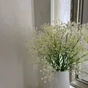 LIGAR Rinaのプロフィール画像