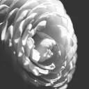 GAKU /フェード /メンズ/難波のプロフィール画像