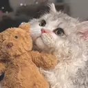 Minéa nailのプロフィール画像