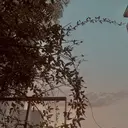 POLA かわぐちのプロフィール画像