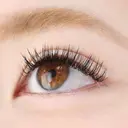 belinda Annaのプロフィール画像