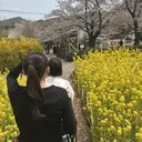 清野 凜のプロフィール画像