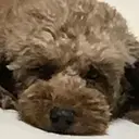 Happiness ビューティーサロンのプロフィール画像