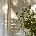 favori 金山 森岡のプロフィール画像