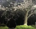 白鳥 絢慎のプロフィール画像