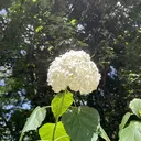 石原 遊李のプロフィール画像