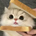 🍄KIKI NAIL🌸のプロフィール画像