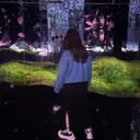 HARUHARU Natsukiのプロフィール画像