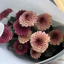 K. Yukoのプロフィール画像