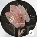 B.napus Nanohaのプロフィール画像