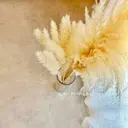 eyemelash （アイミーラッシュ）のプロフィール画像