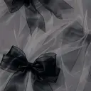 木下 夢蘭のプロフィール画像