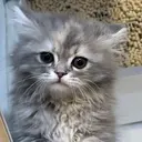 奈良 琉磨のプロフィール画像